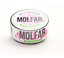 Табак для кальяна Molfar(Мольфар) Virginia Line Кавунове Зілля 100 грамм