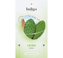 Суміш Суміш IndiGo Cactus (Кактус) 100 гр