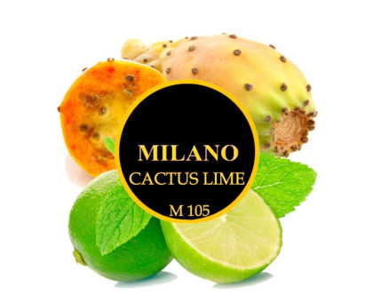 Табак для кальяна Milano Cactus Lime M105 (Кактус Лайм) 100 грамм
