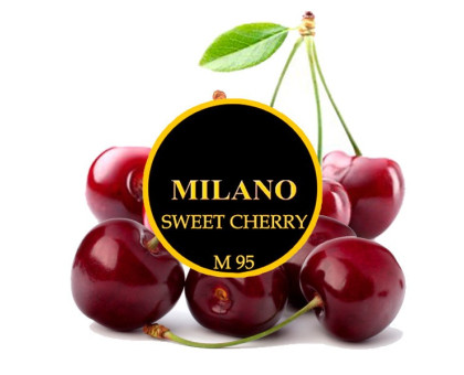 Тютюн для кальяну Milano M95 Sweet Cherry (Світ Вишня) 100 грам