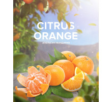 Тютюн для кальяну 4:20 Tea Line Citrus Orange (Цитрус Апельсин) 125 гр