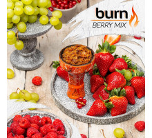 Тютюн для кальяну Burn Berry Mix / Ягідний Мікс 100 грам