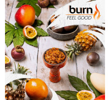 Тютюн для кальяну Burn Feel Good (Гарне Почуття) 100 грам