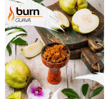 Тютюн для кальяну Burn Guava / Гуава 100 грам