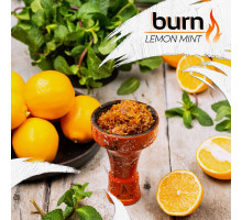 Тютюн для кальяну Burn Lemon Mint / Лимон м'ята 100 грам