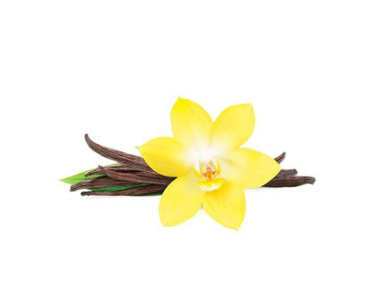 Тютюн для кальяну Fumari French Vanilla / Французька Ваніль 100 грам