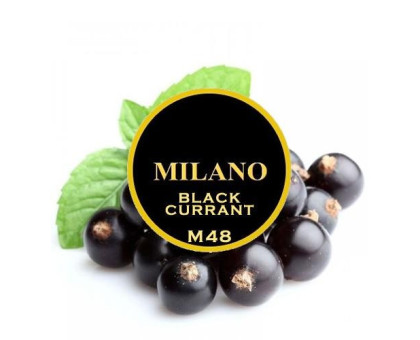 Табак для кальяна Milano M48 Black Currant (Чёрная Смородина) 100 грамм