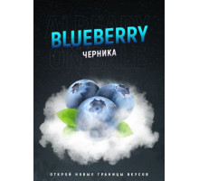 Тютюн для кальяну 4:20 Blueberry / Чорниця 25 грам