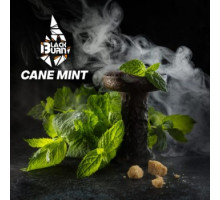 Тютюн для кальяну Black Burn Cane Mint (Чорний Берн Кейн Мінт) 100 грам