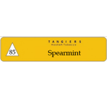 Тютюн для кальяну Tangiers Noir Spearmint 250 грам