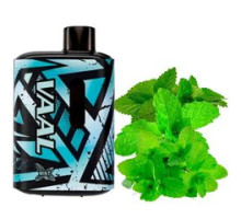 Одноразовая электронная сигарета VAAL Mint (Мята) (E5000 Затяжек)