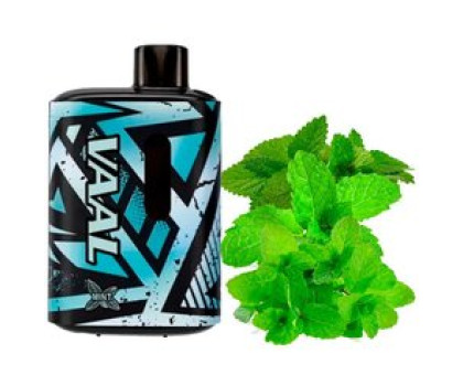 Одноразовая электронная сигарета VAAL Mint (Мята) (E5000 Затяжек)