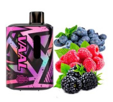 Одноразовая электронная сигарета VAAL Lush Raspberry (Лаш Малина) (E5000 Затяжек)