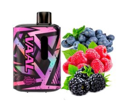 Одноразовая электронная сигарета VAAL Lush Raspberry (Лаш Малина) (E5000 Затяжек)